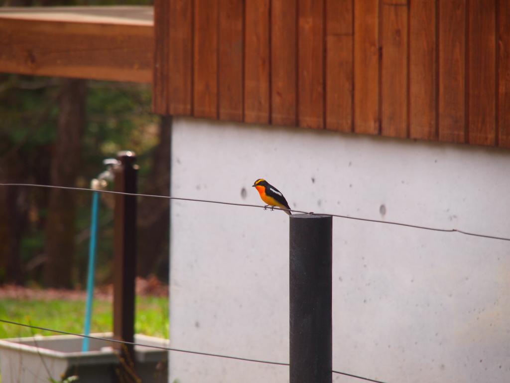 Koya Backpackers Hotel Karuizawa Bagian luar foto